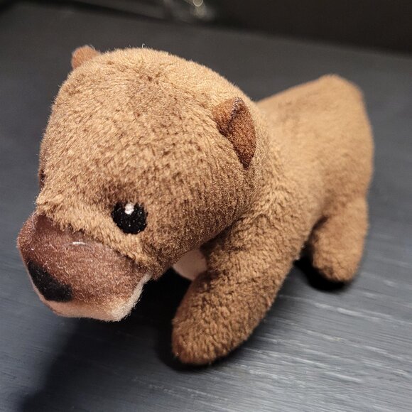 Eurasion Otter - Picture 1 of 3